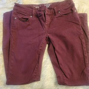 The limited,legging Jean, wine colored